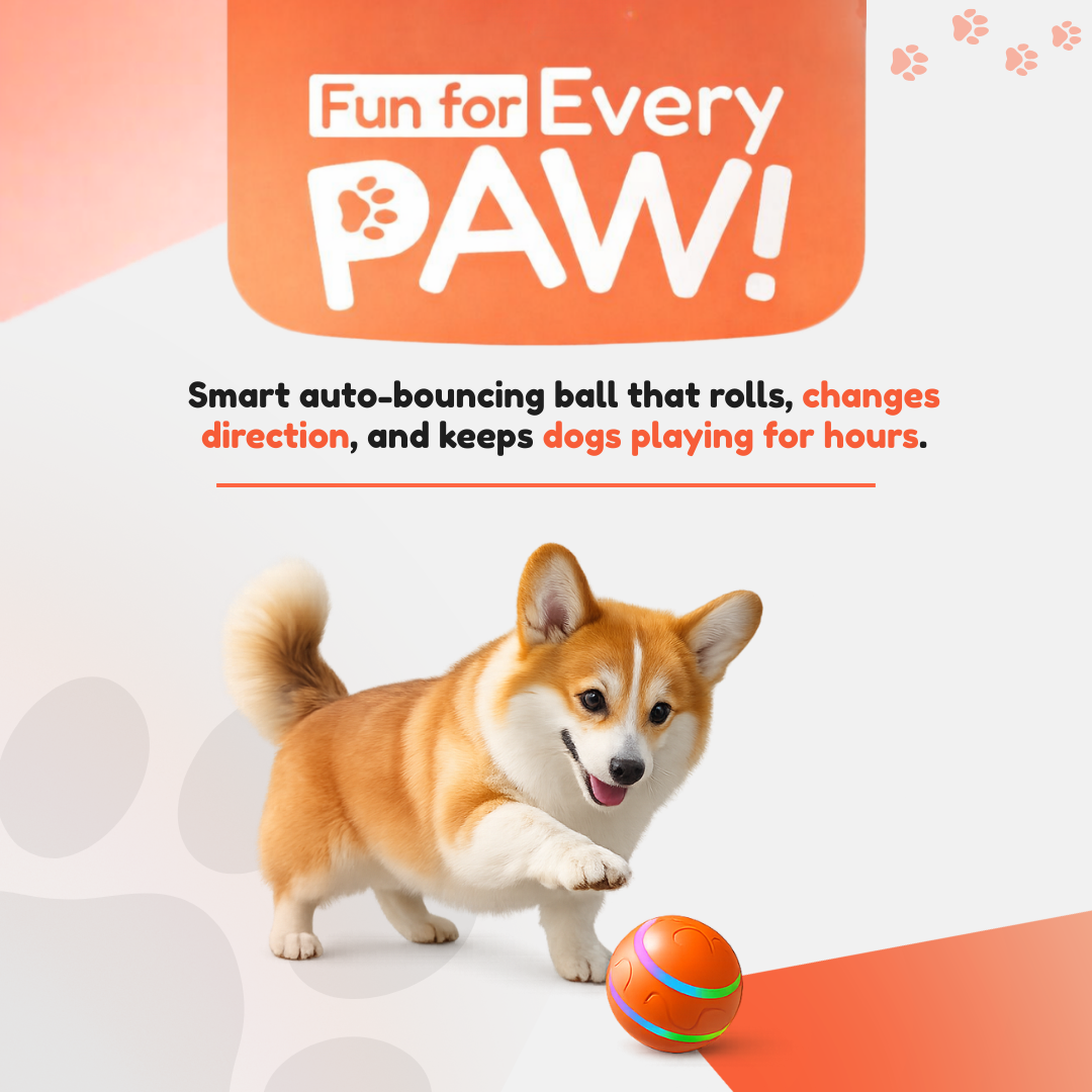 DOG’S INTERACTIVE BOUNCY BALL