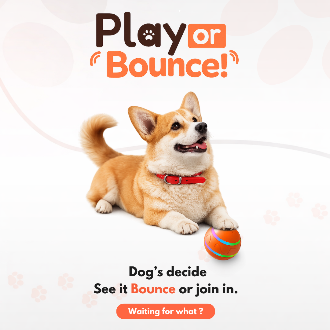 DOG’S INTERACTIVE BOUNCY BALL