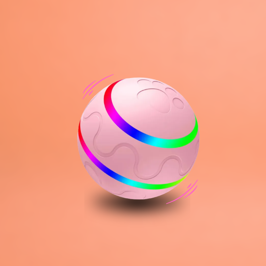DOG’S INTERACTIVE BOUNCY BALL