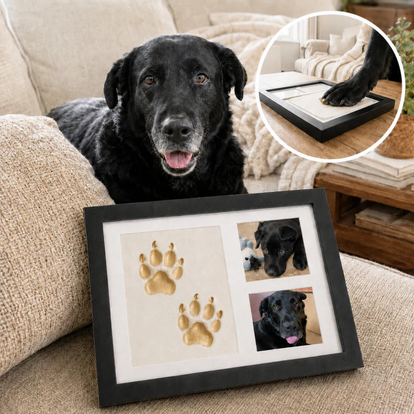 PawNeedz™ PawPrint Memory Kit