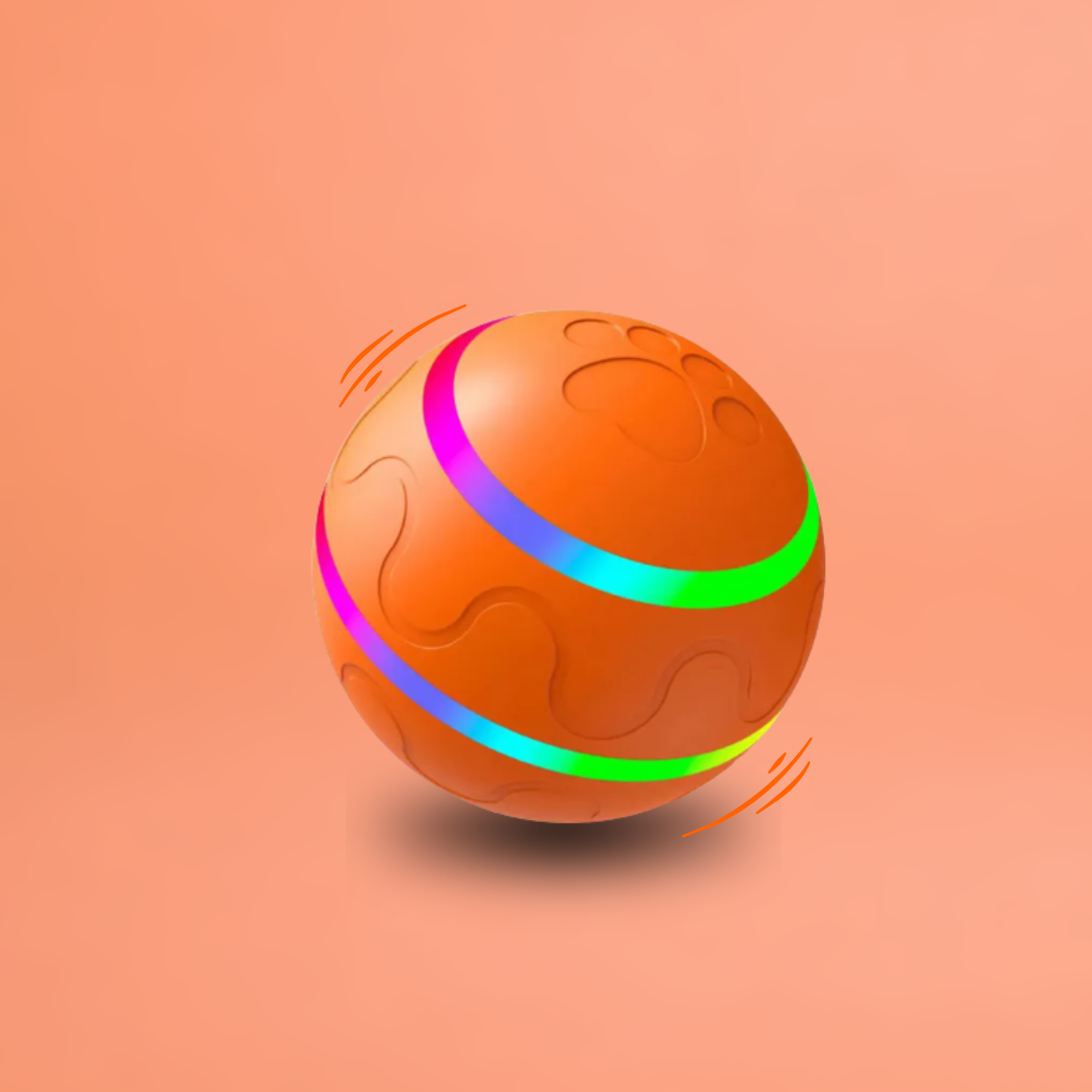 DOG’S INTERACTIVE BOUNCY BALL