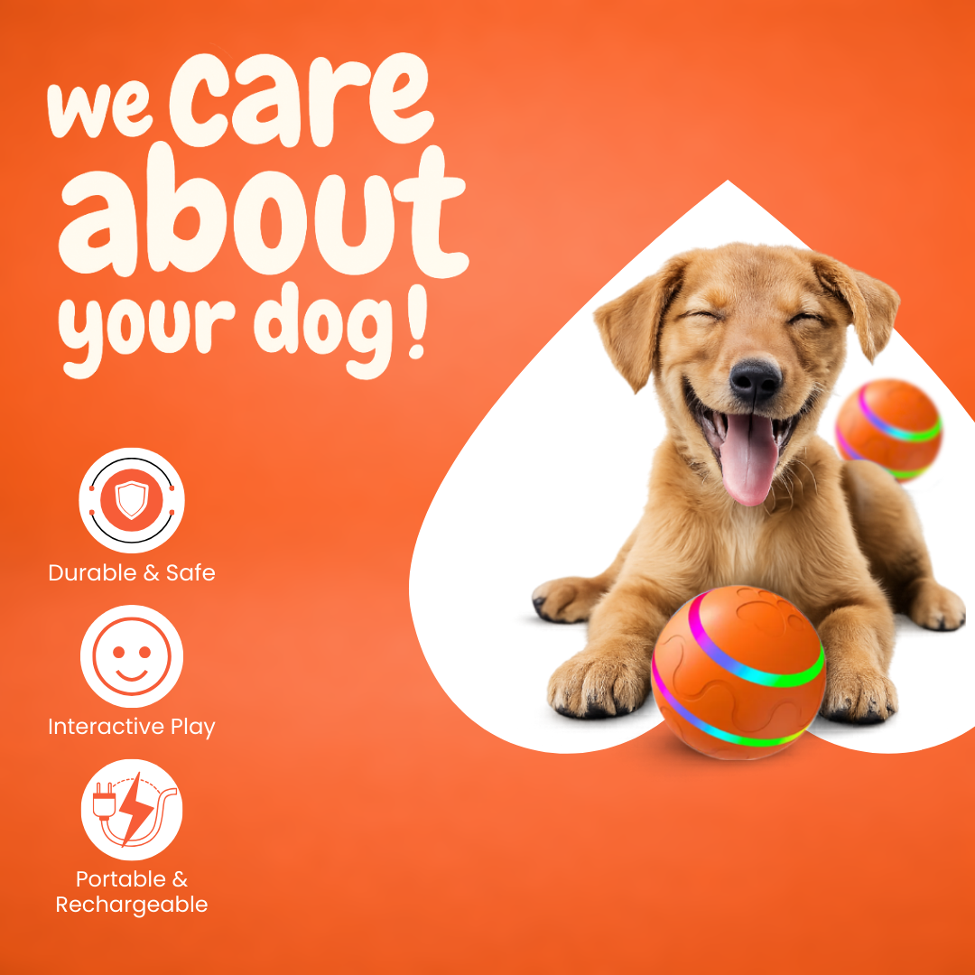 DOG’S INTERACTIVE BOUNCY BALL