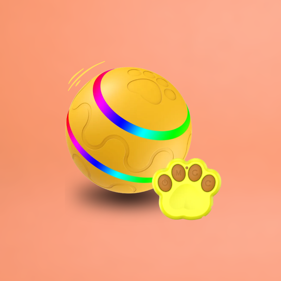 DOG’S INTERACTIVE BOUNCY BALL