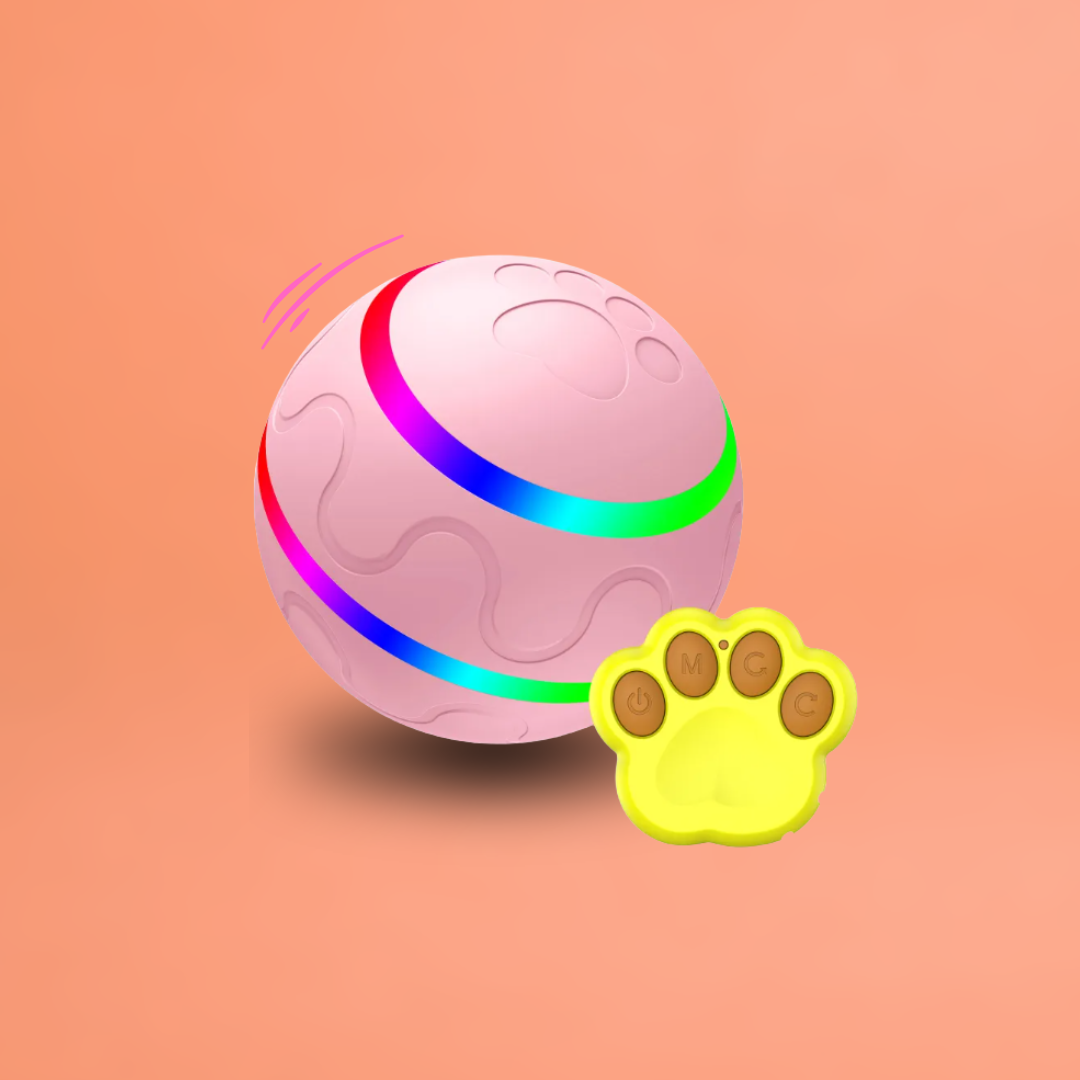 DOG’S INTERACTIVE BOUNCY BALL