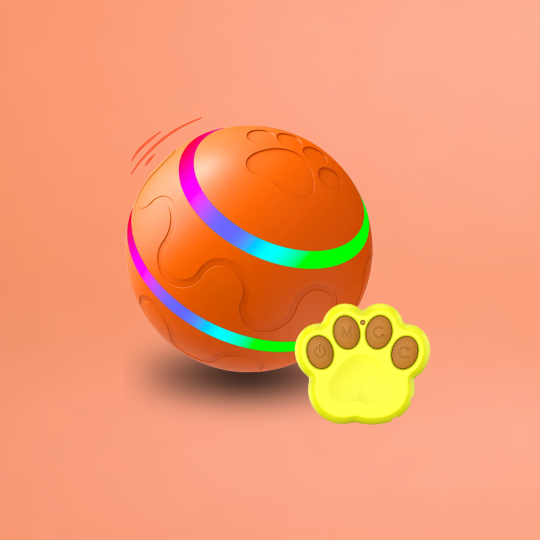 DOG’S INTERACTIVE BOUNCY BALL