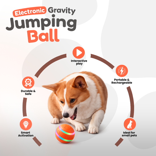 DOG’S INTERACTIVE BOUNCY BALL