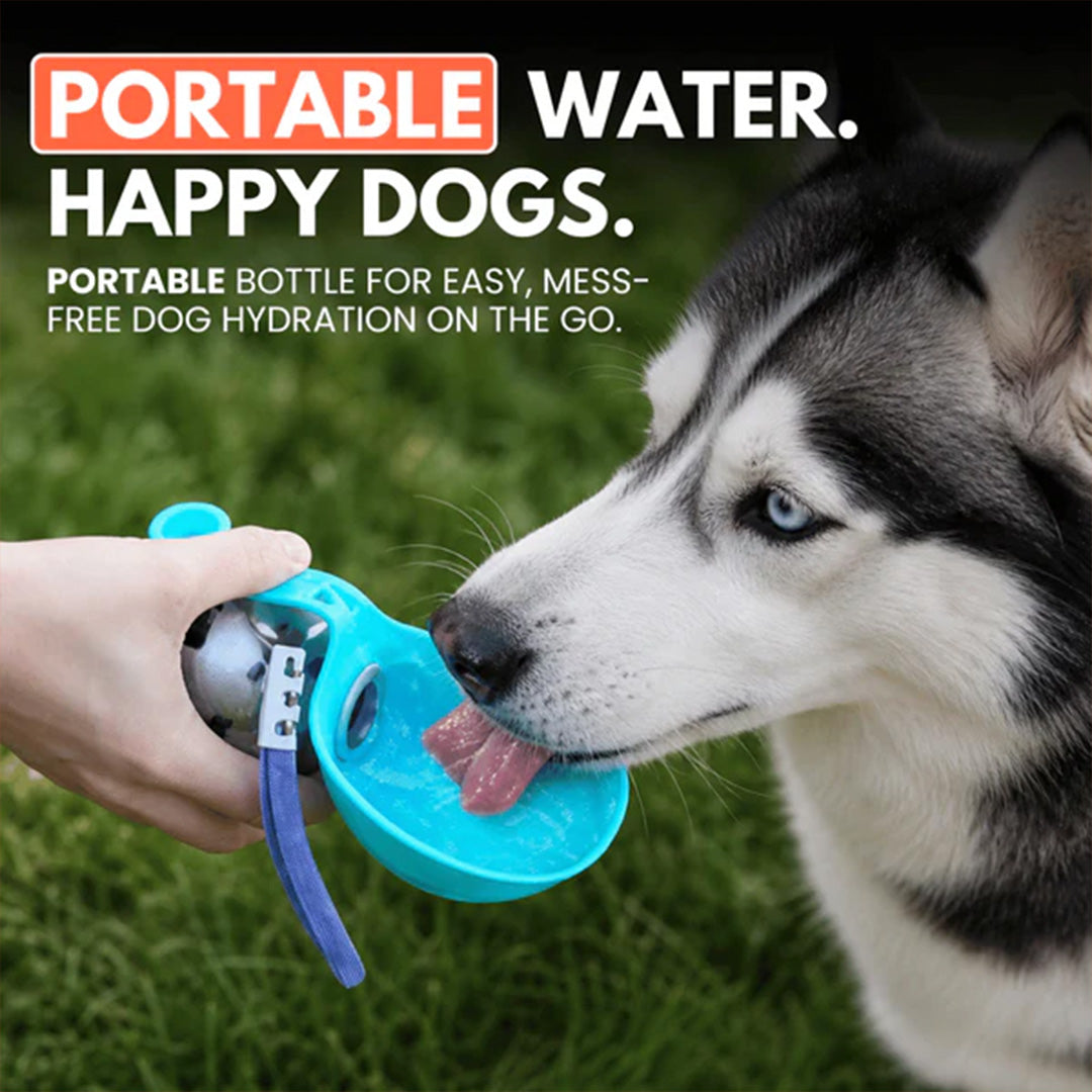 PawNeedz™ Portable Steel Dog Water Bottle